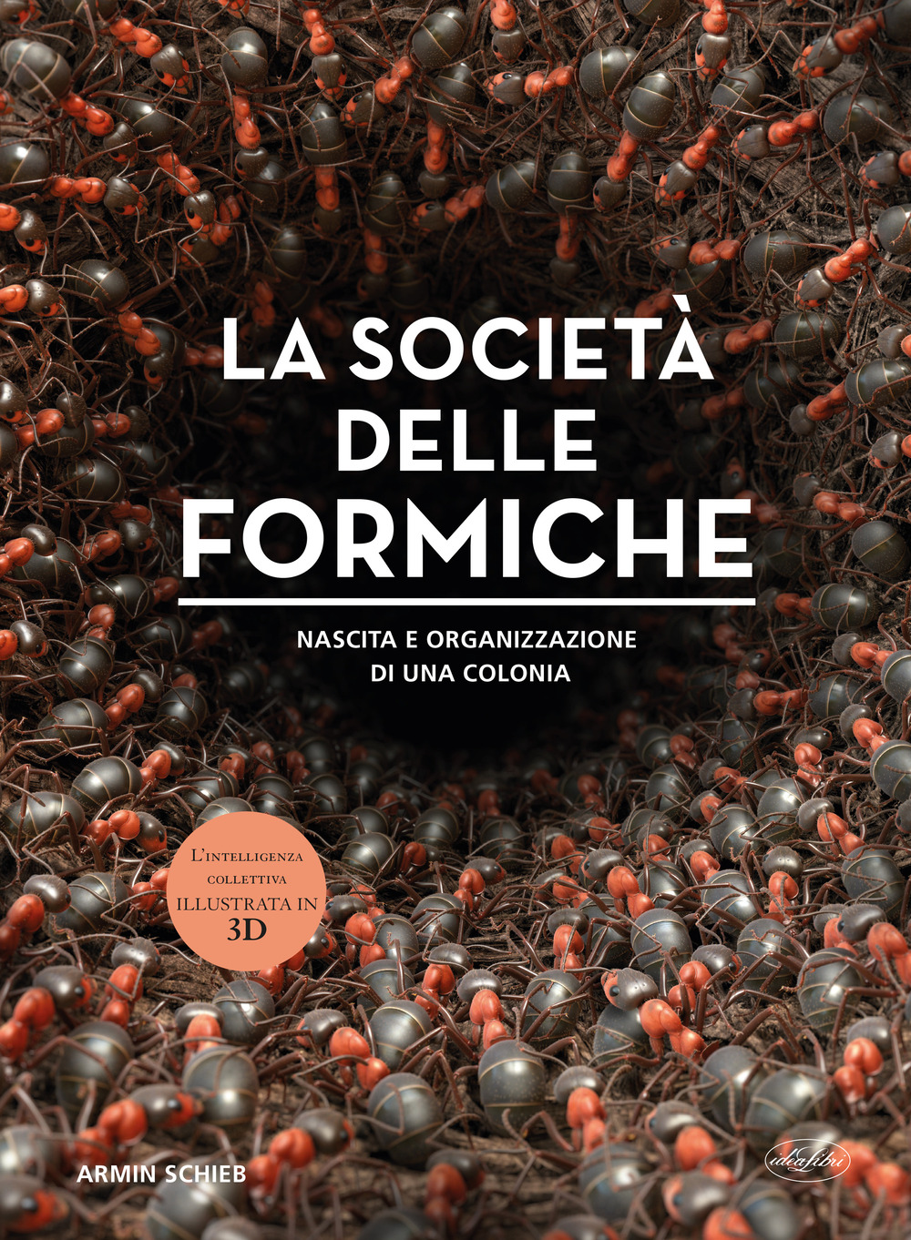 La società delle formiche. Ediz. a colori