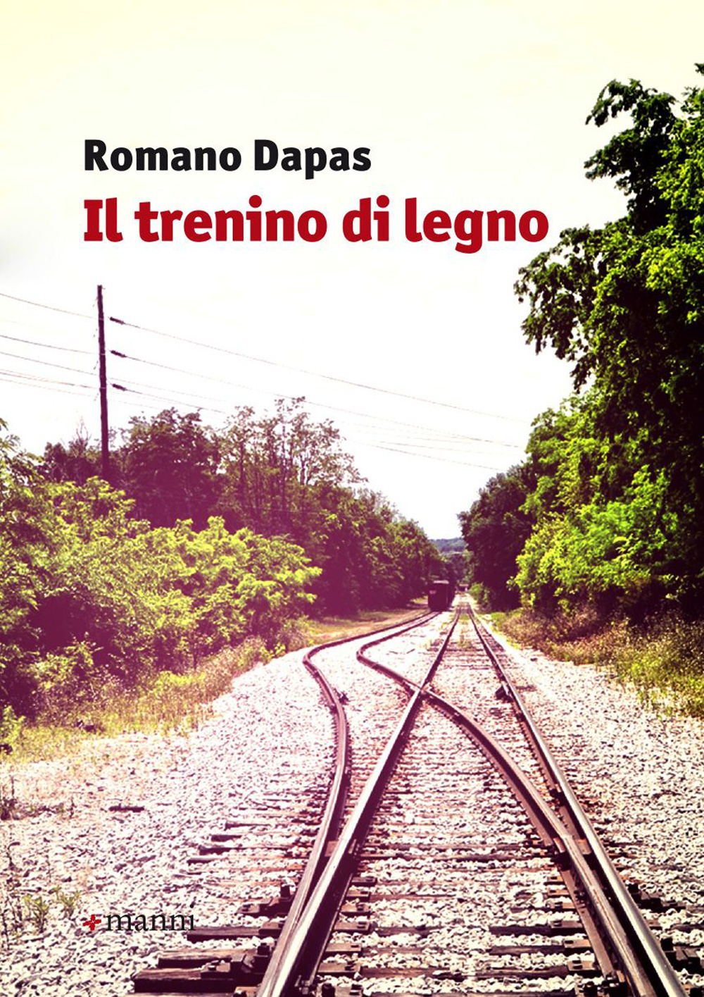 Il trenino di legno