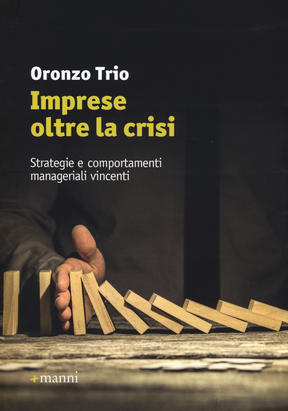 Imprese oltre la crisi. Strategie e comportamenti manageriali vincenti