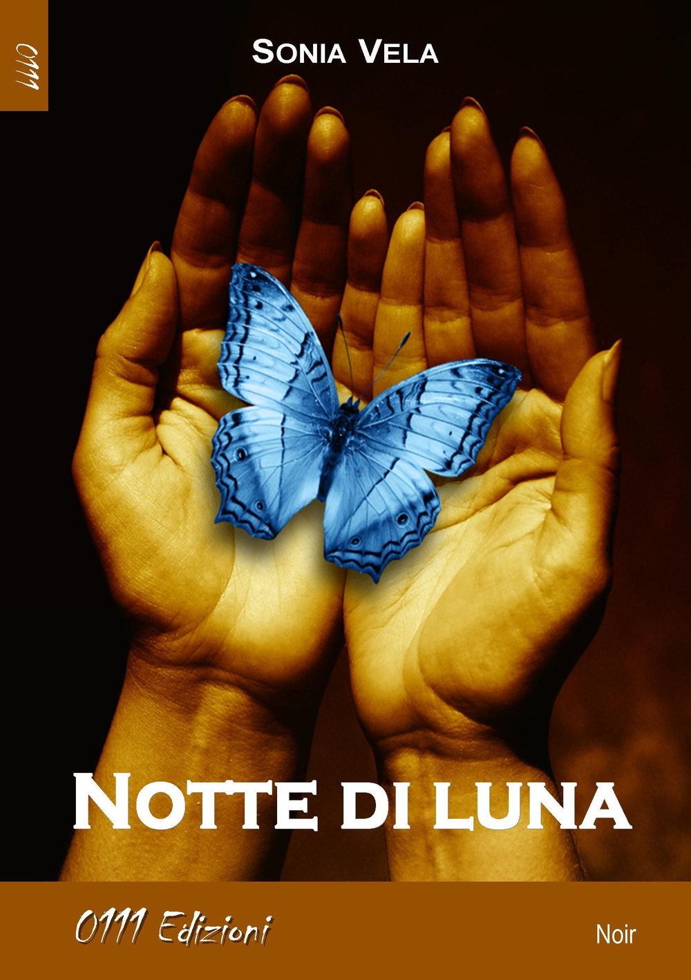 Notte di luna