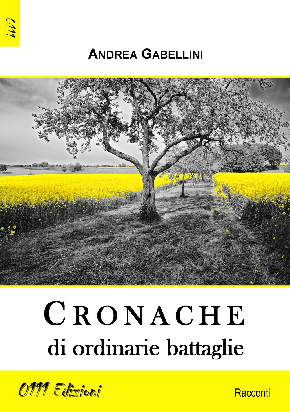 Cronache di ordinarie battaglie