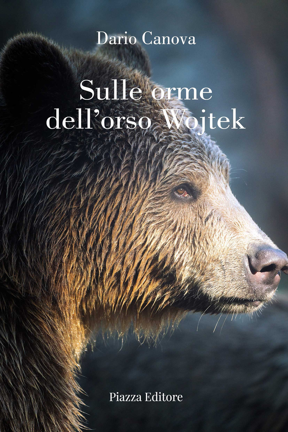 Sulle orme dell'orso Wojtek