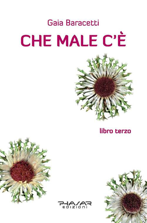 Che male c'è. Libro terzo