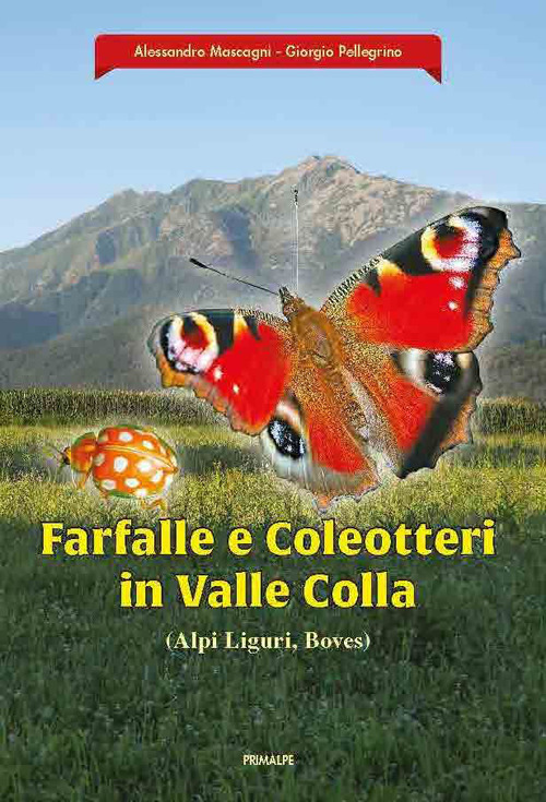 Farfalle e coleotteri in valle colla (Alpi Liguri, Boves)