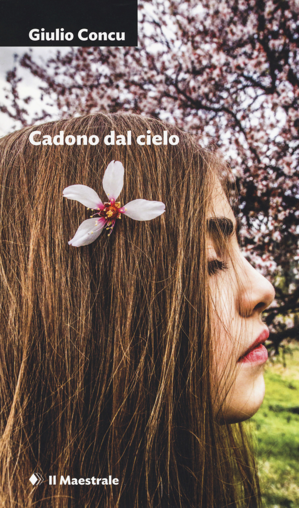 Cadono dal cielo