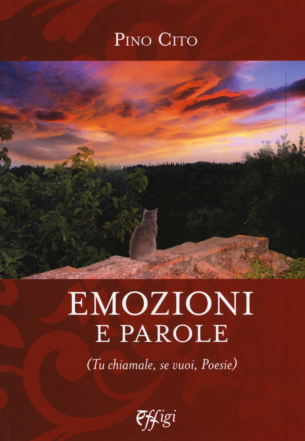 Emozioni e parole (Tu chiamale, se vuoi, poesie)