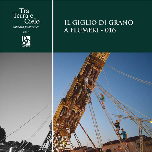 Il giglio di grano a Flumeri-016