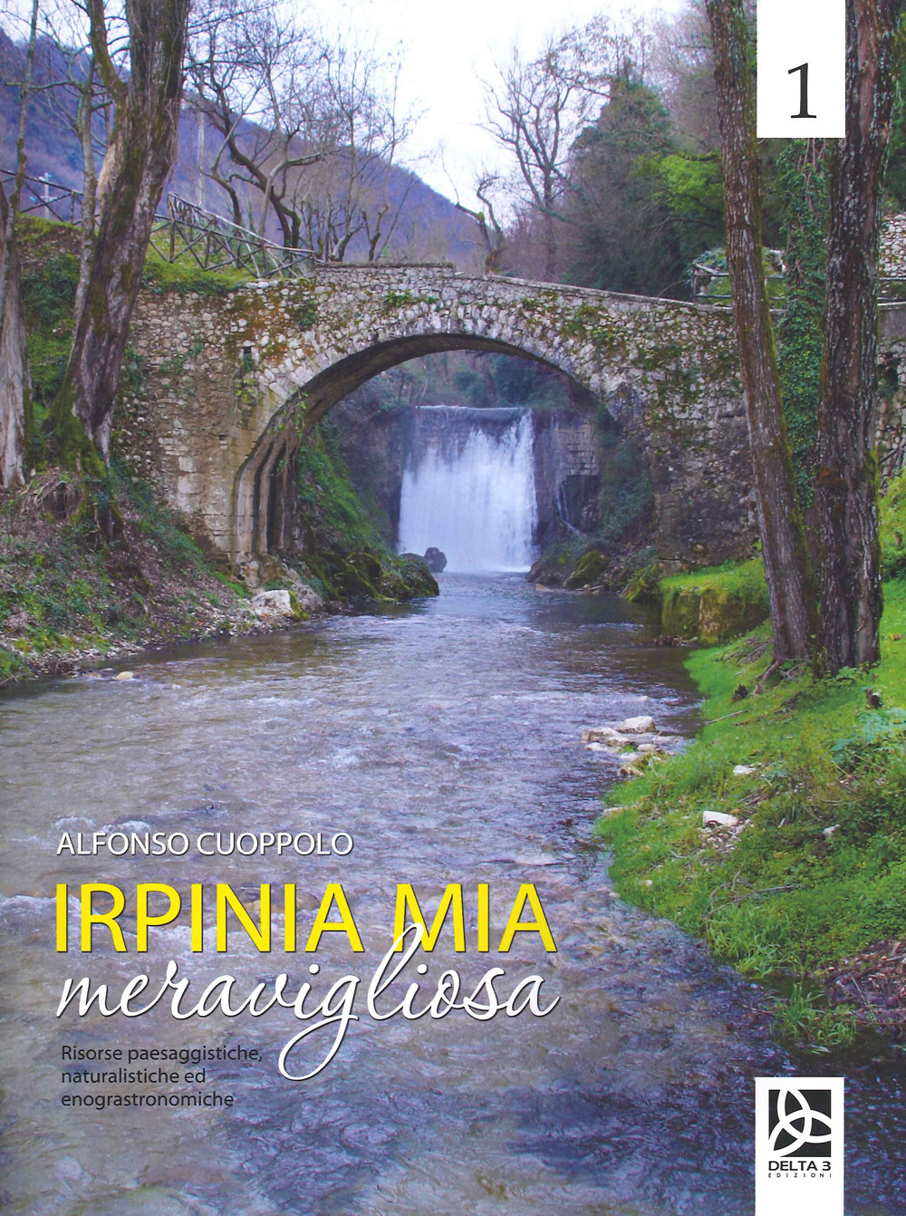 Irpinia mia meravigliosa. Ediz. a colori. Vol. 1