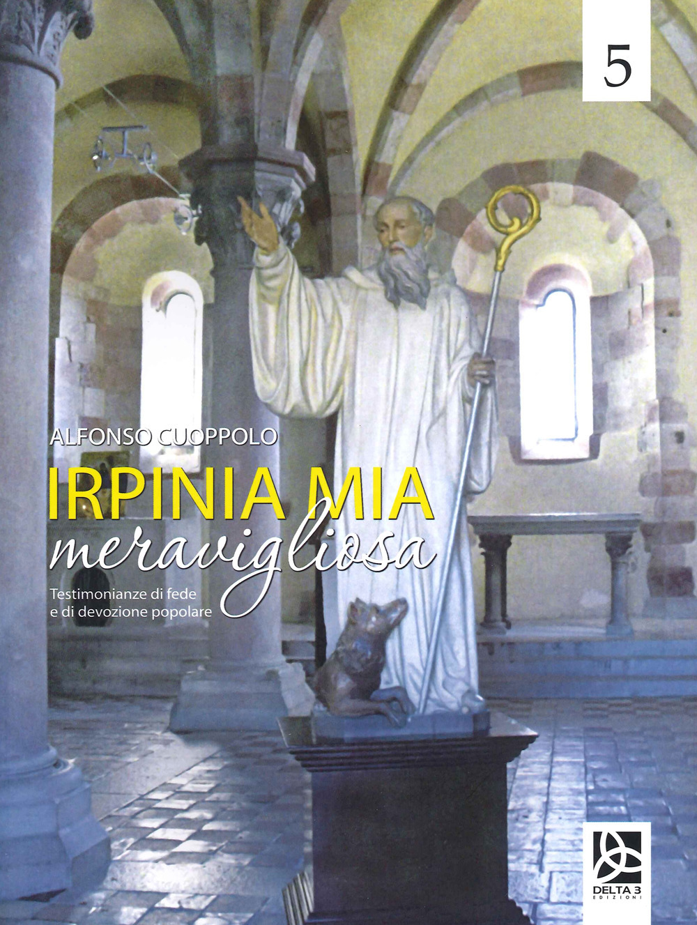 Irpinia mia meravigliosa. Ediz. a colori. Vol. 5