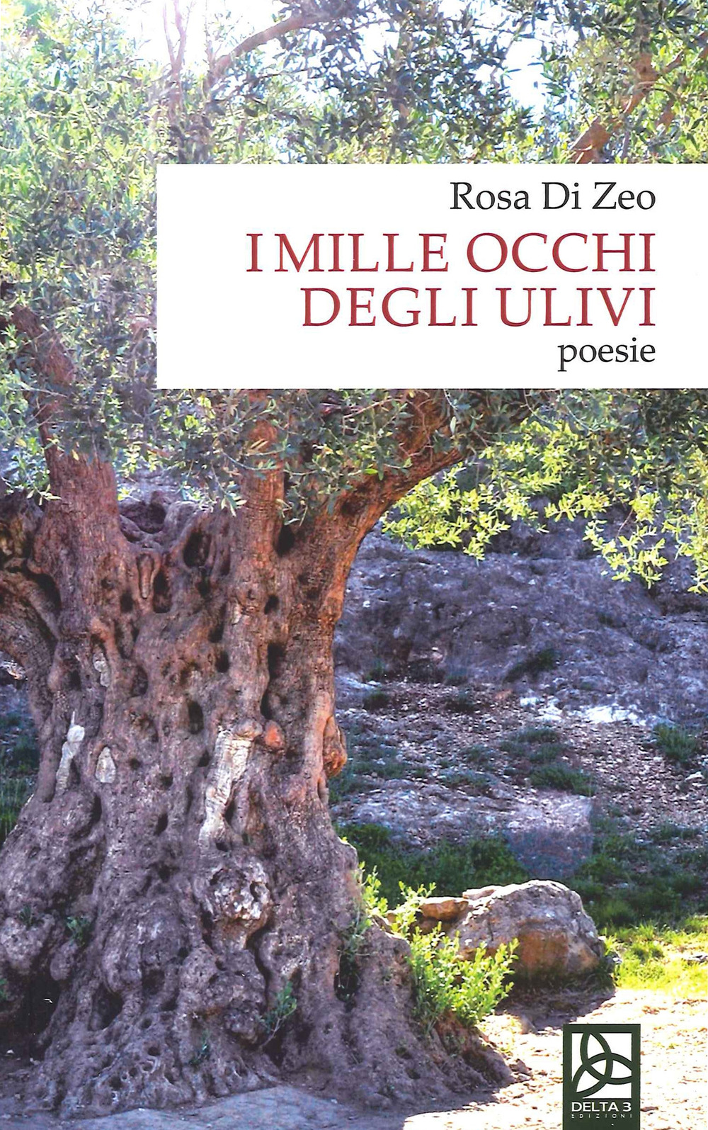 I mille occhi degli ulivi