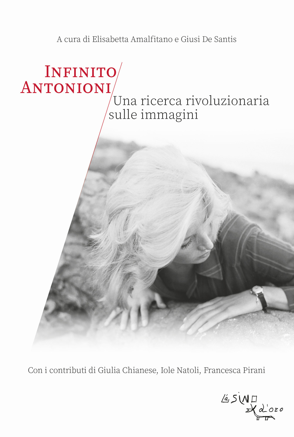 Infinito Antonioni. Una ricerca rivoluzionaria sulle immagini