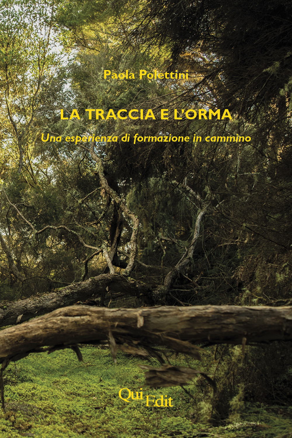 La traccia e l'orma. Una esperienza di formazione in cammino