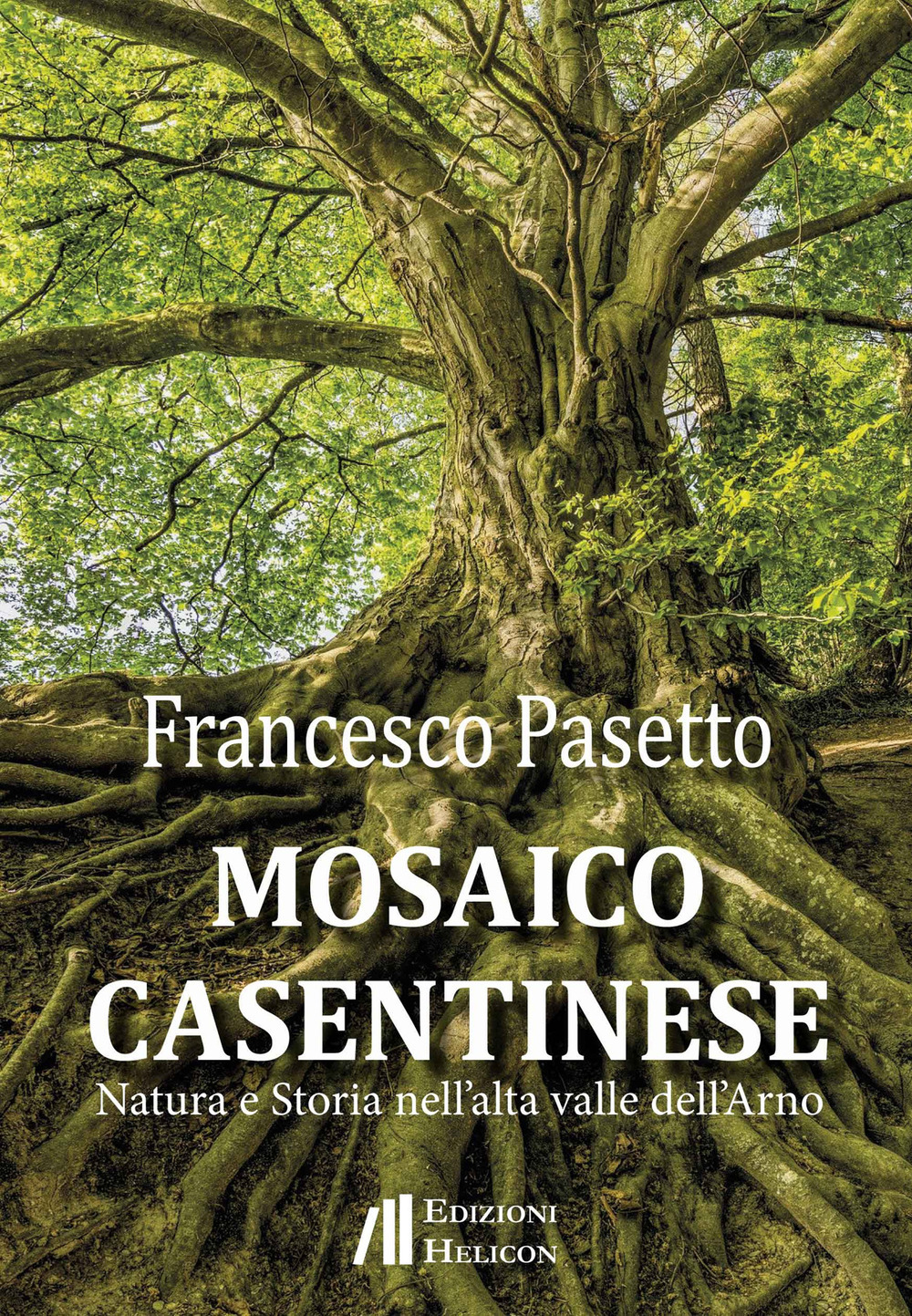 Mosaico casentinese. Natura e storia nell'alta valle dell'Arno