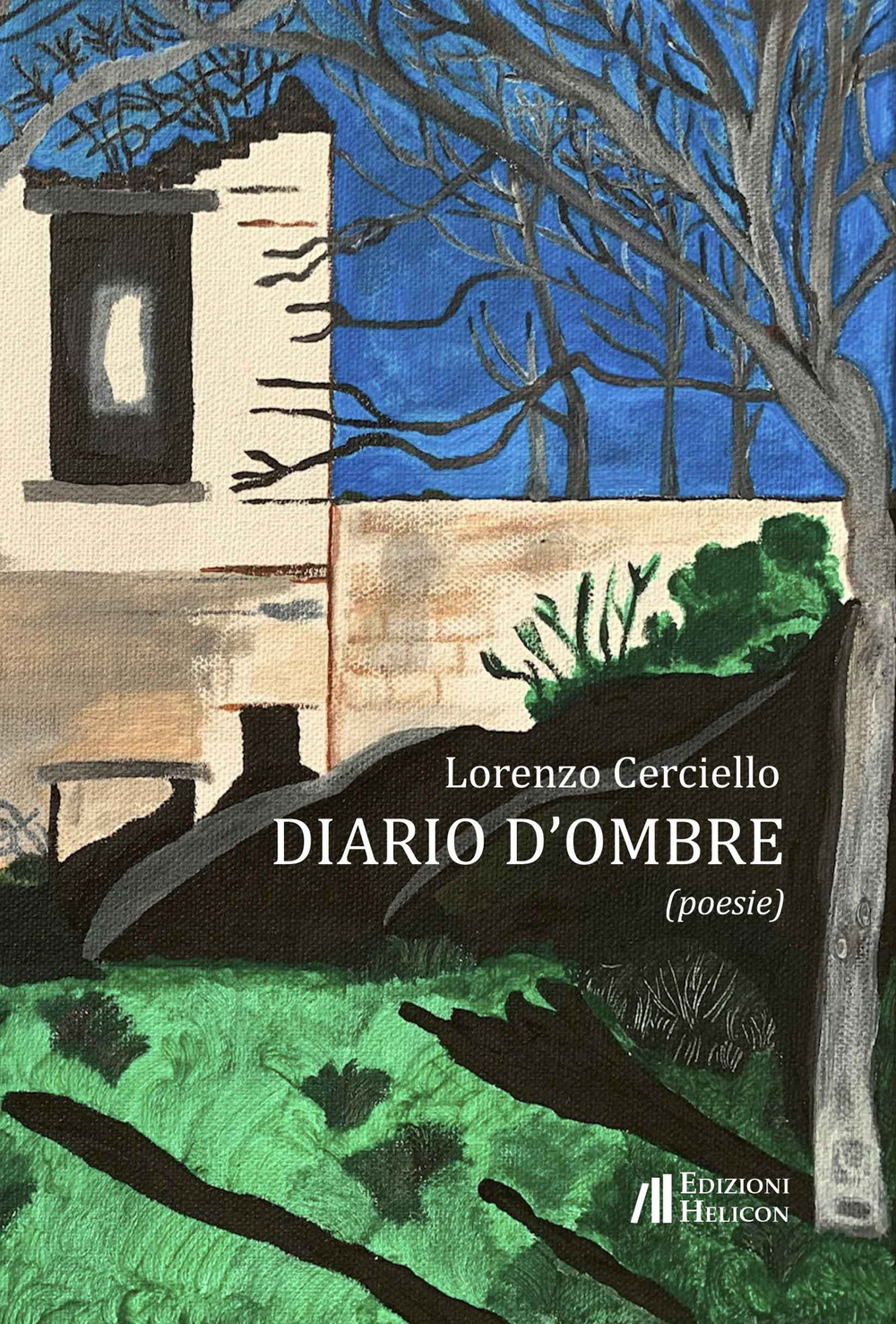 Diario d'ombre. Poesie