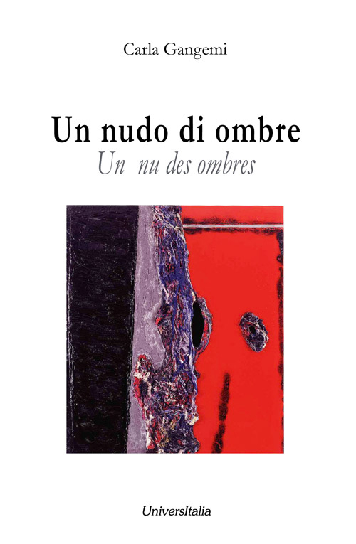 Un nudo di ombre (Un nu des ombres)