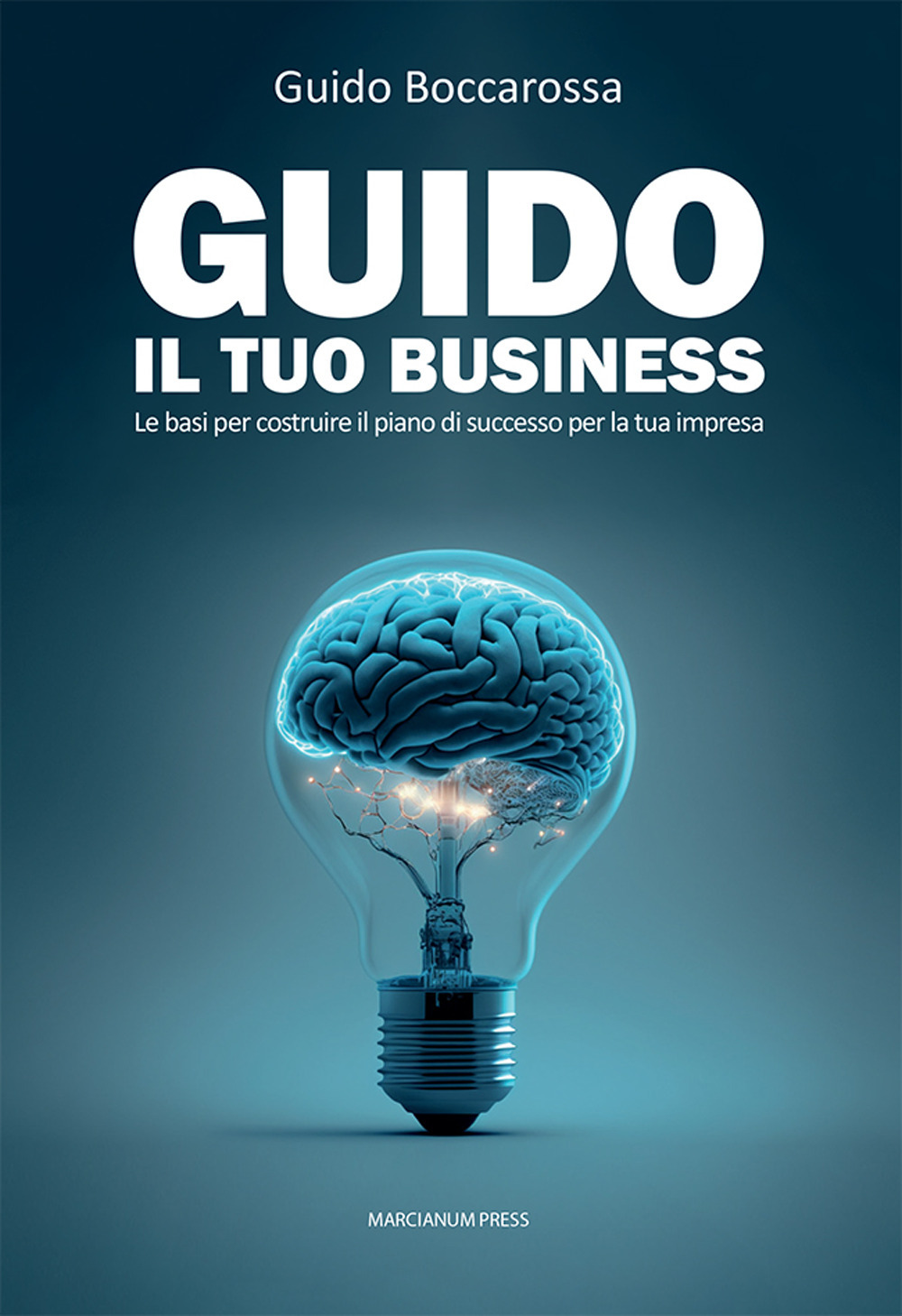 Guido il tuo business. Le basi per costruire il piano di successo per la tua impresa