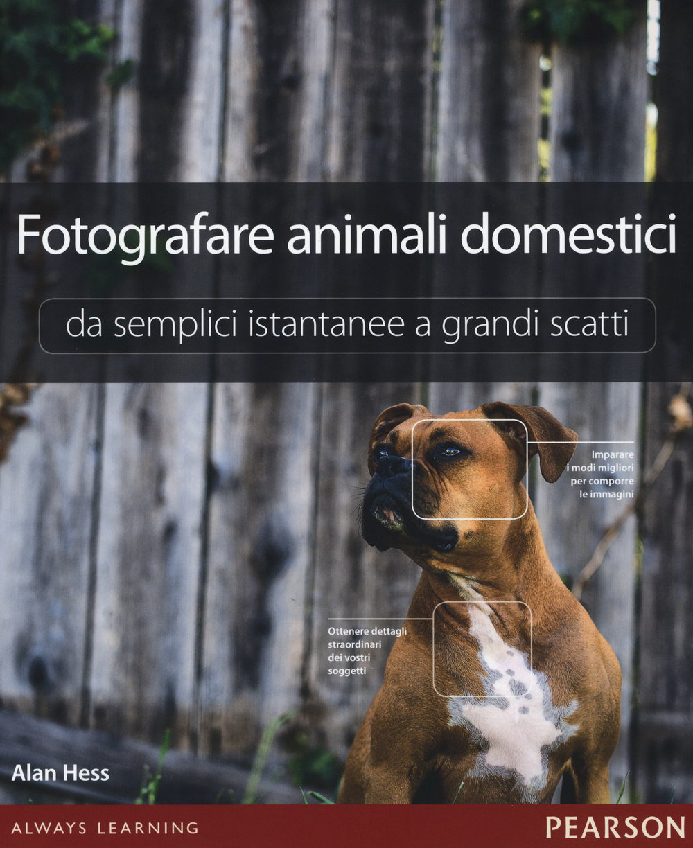 Fotografare animali domestici. Da semplici istantanee a grandi scatti