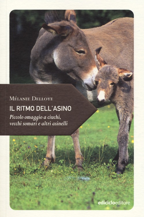 Il ritmo dell'asino. Piccolo omaggio a ciuchi, vecchi somari e altri asinelli