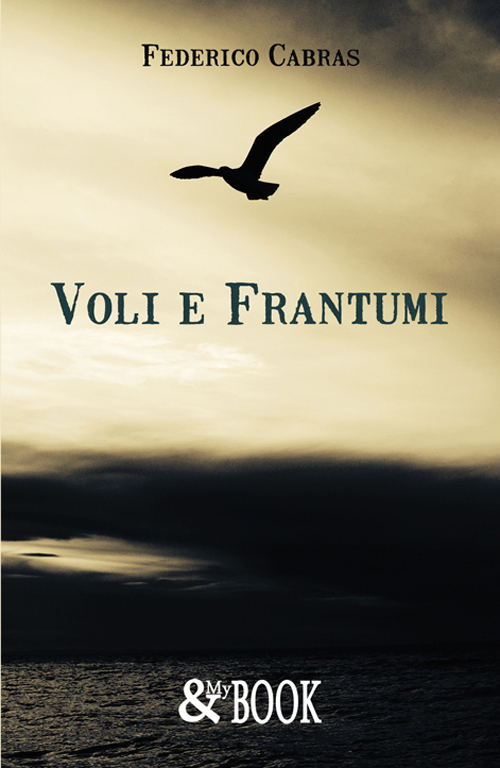 Voli e frantumi