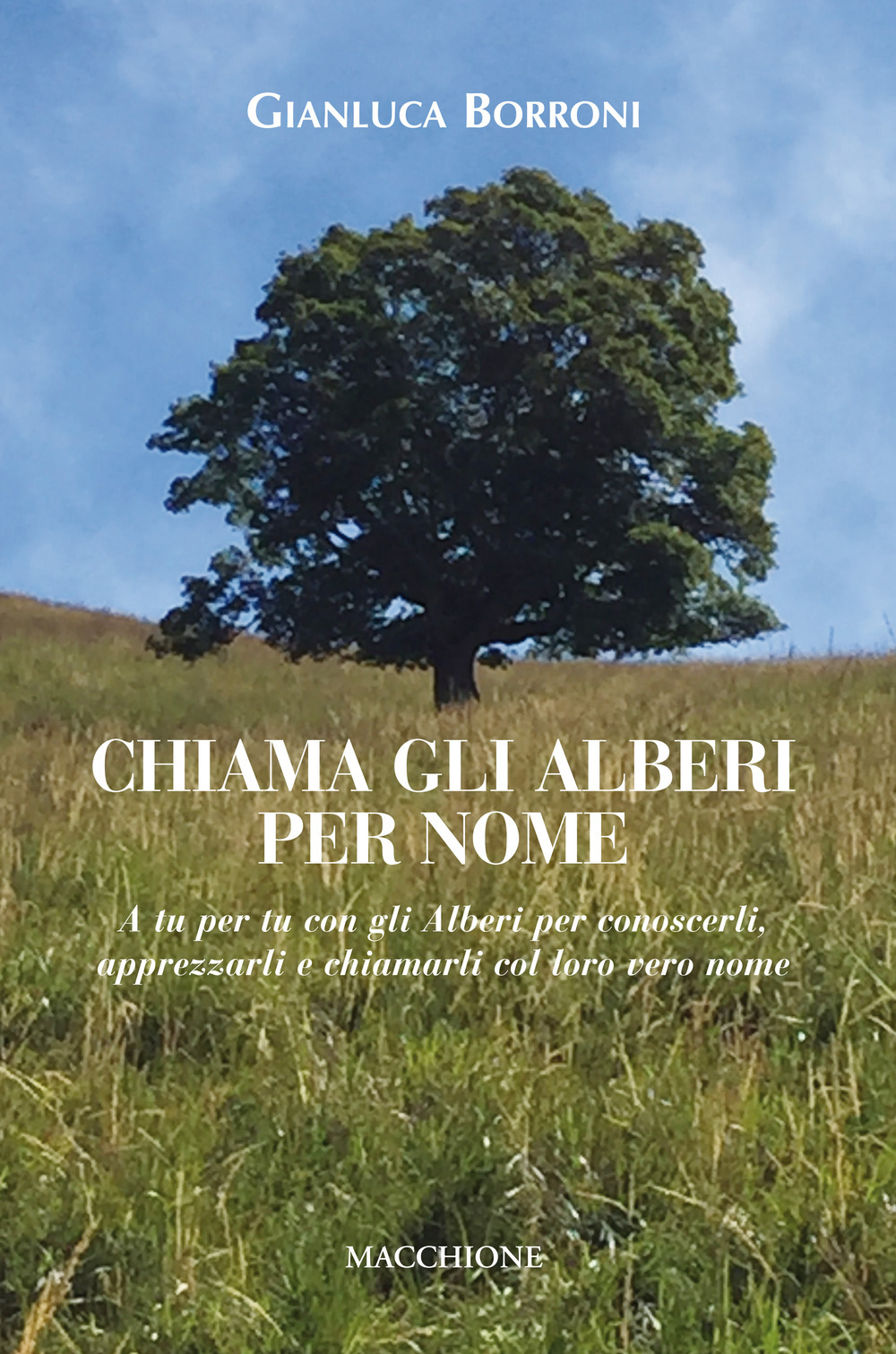 Chiama gli alberi per nome. A tu per tu con gli alberi per conoscerli, apprezzarli e chiamarli col loro vero nome