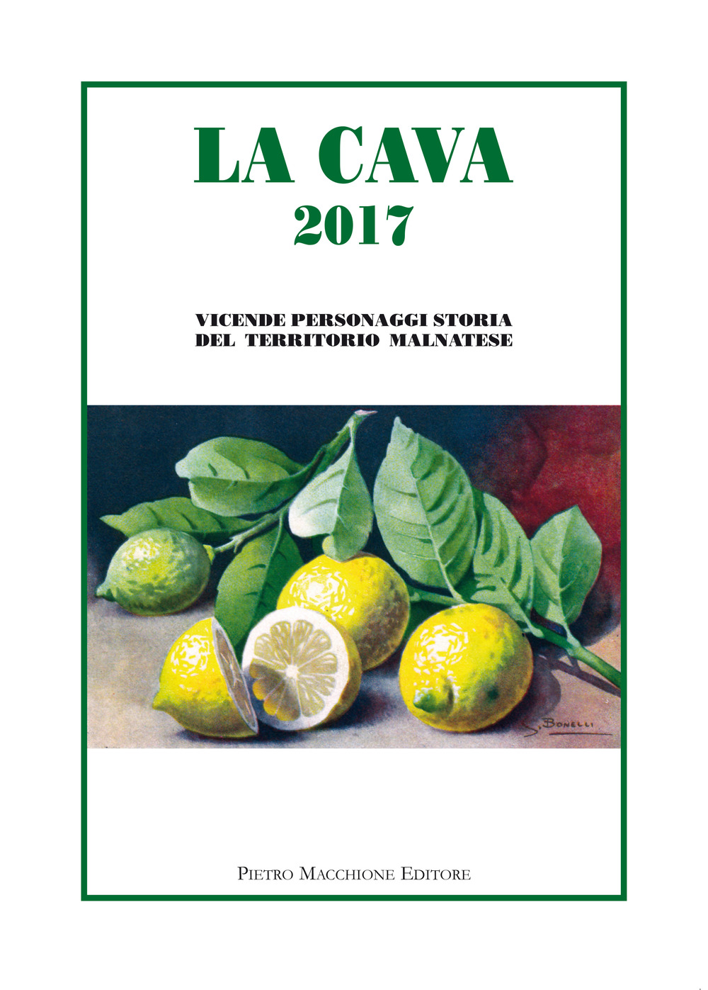 La cava 2017. Vicende, personaggi, storia del territorio malnatese