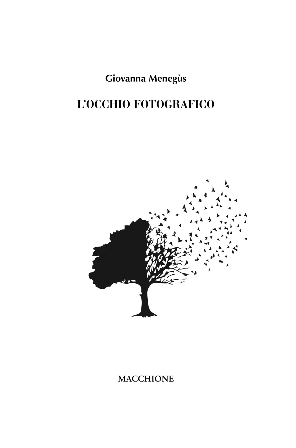 L'occhio fotografico