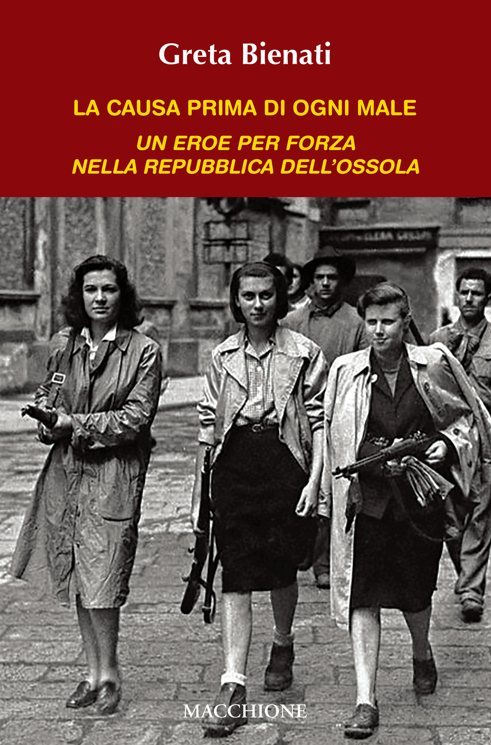 La causa di ogni male. Un eroe per forza nella Repubblica dell'Ossola