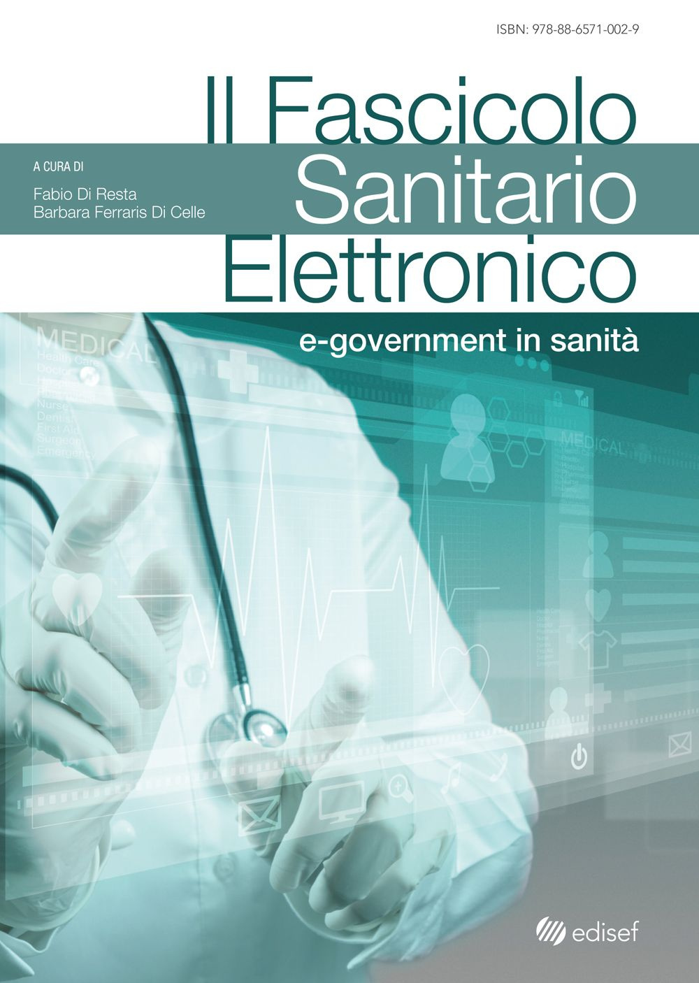 Il fascicolo sanitario elettronico. E-government in sanità