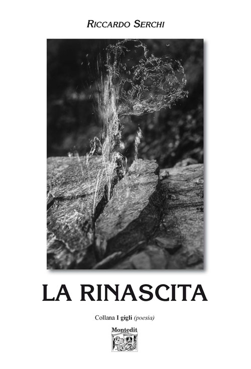 La rinascita