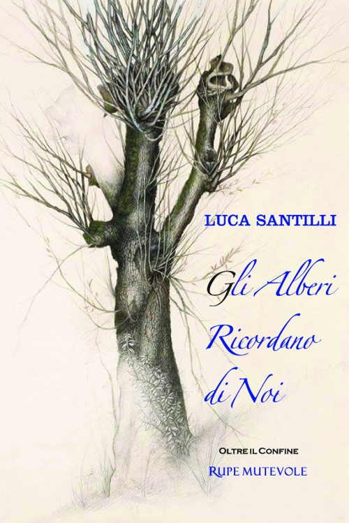 Gli alberi ricordano di noi