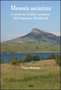 Menesta asciatizza. A tavola con le piante spontanee dell'Appennino meridionale