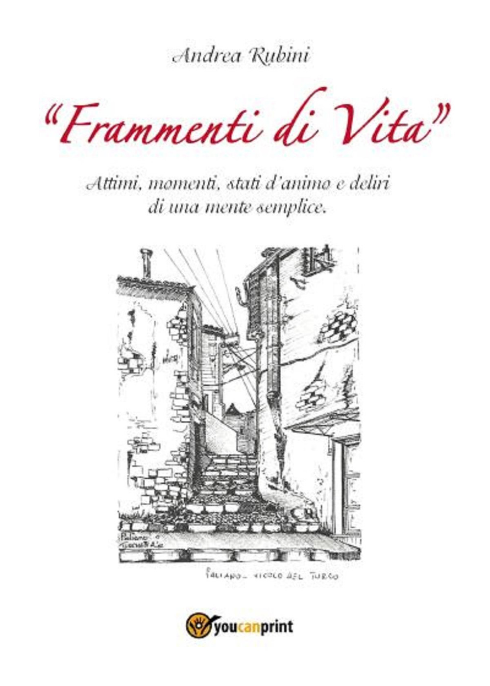 Frammenti di vita. Attimi, momenti, stati d'animo e deliri di una mente semplice