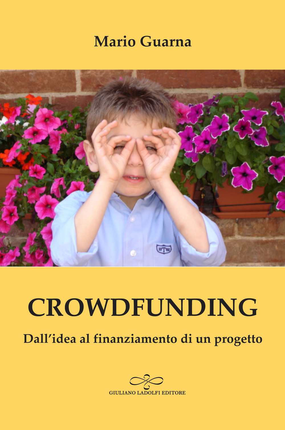 Crowdfunding. Dall'idea al finanziamento di un progetto