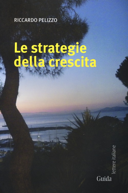 Le strategie della crescita