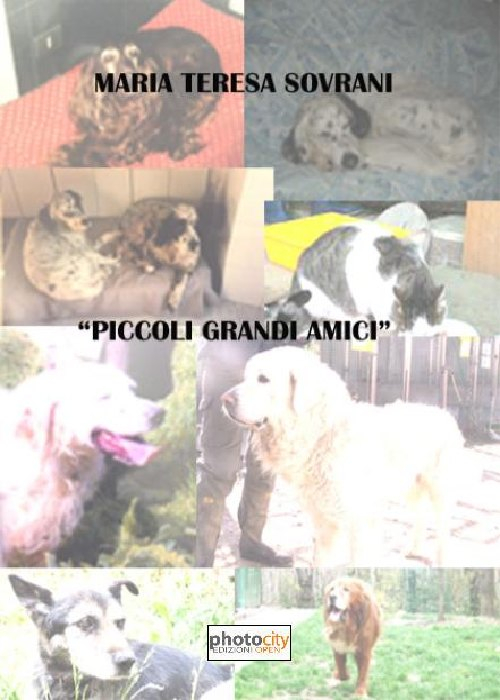 Piccoli grandi amici