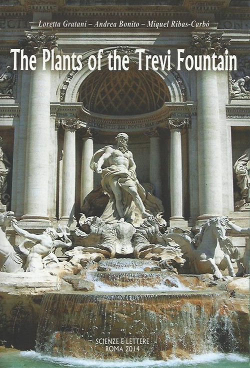 The plants of the Trevi fountain