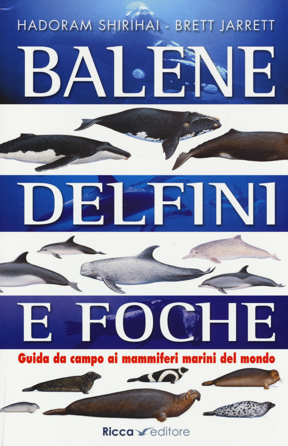 Balene, delfini, foche. Guida da campo ai mammiferi marini del mondo. Ediz. illustrata