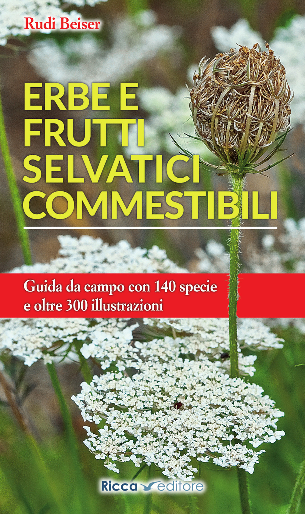 Erbe e frutti selvatici commestibili. Ediz. illustrata