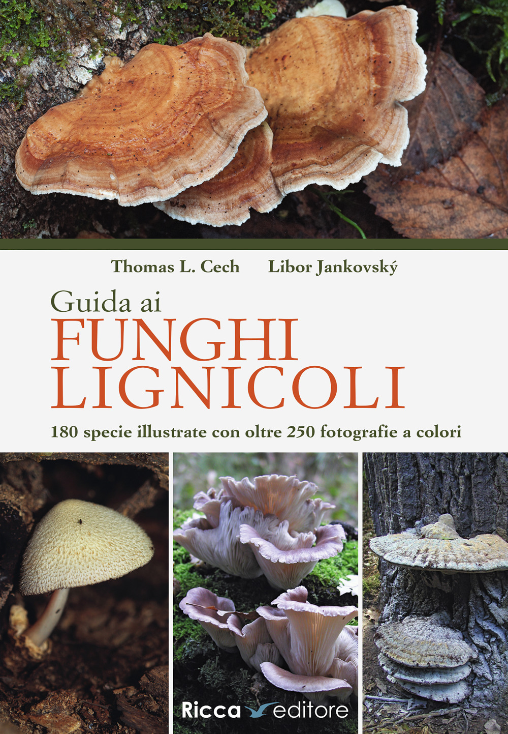 Guida ai funghi lignicoli