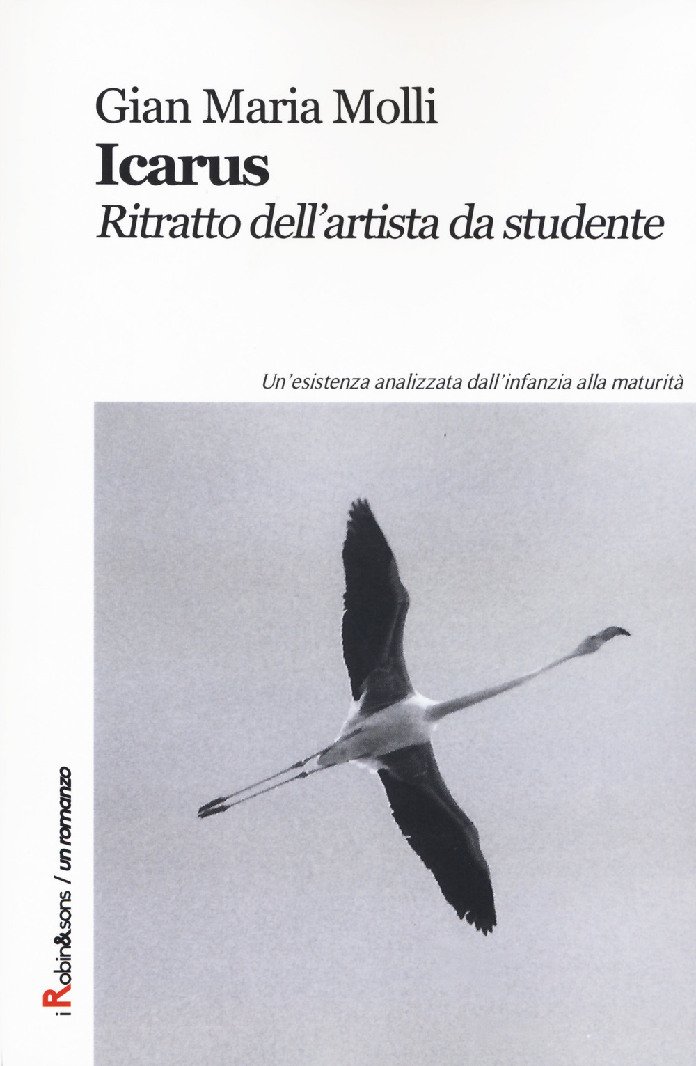 Icarus. Ritratto dell'artista da studente