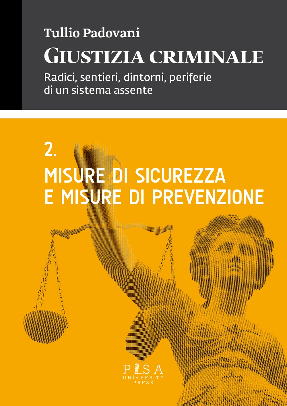 Giustizia criminale. Vol. 2: Misure di sicurezza e misure di prevenzione