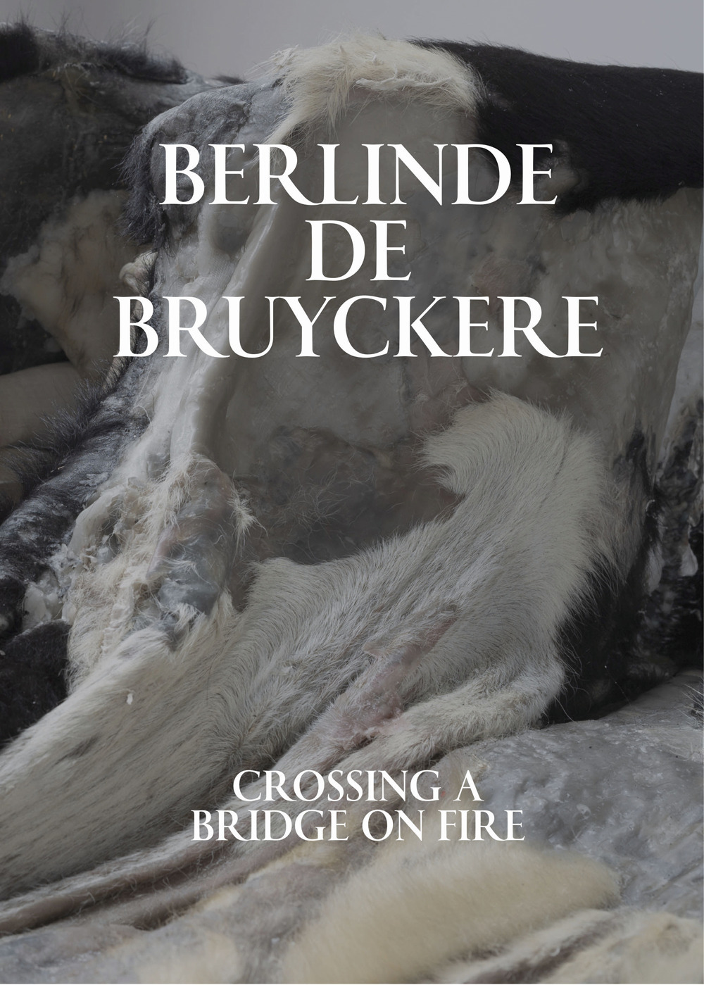 Berlinde De Bruyckere. Crossing a bridge on fire. Ediz. a colori