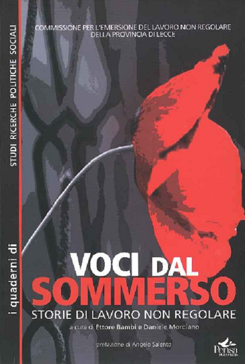 Voci dal sommerso. Storie di lavoro non regolare