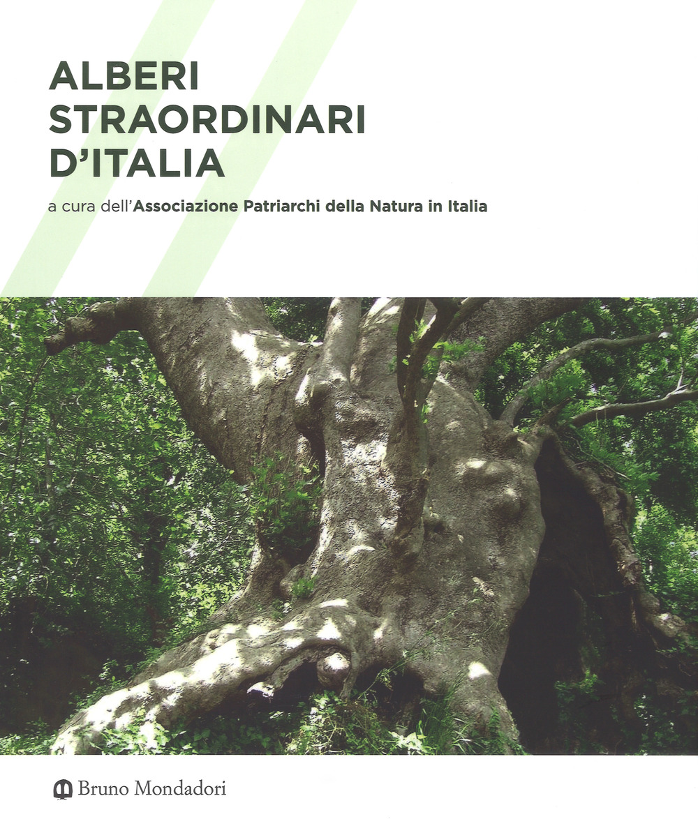 Alberi straordinari d'Italia. Ediz. illustrata