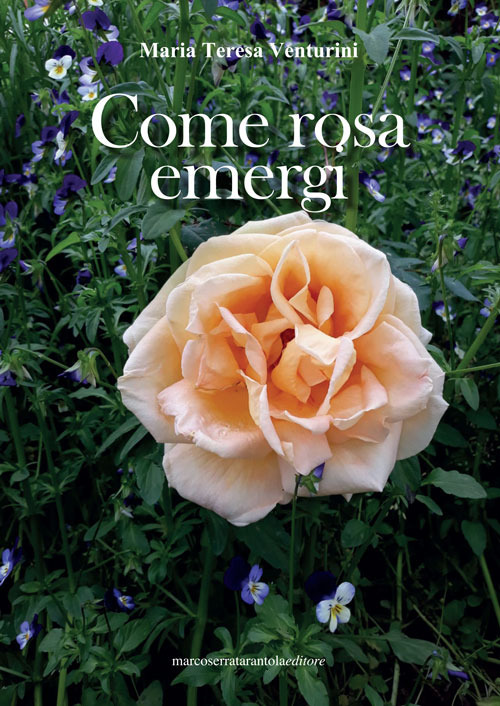 Come rosa emergi