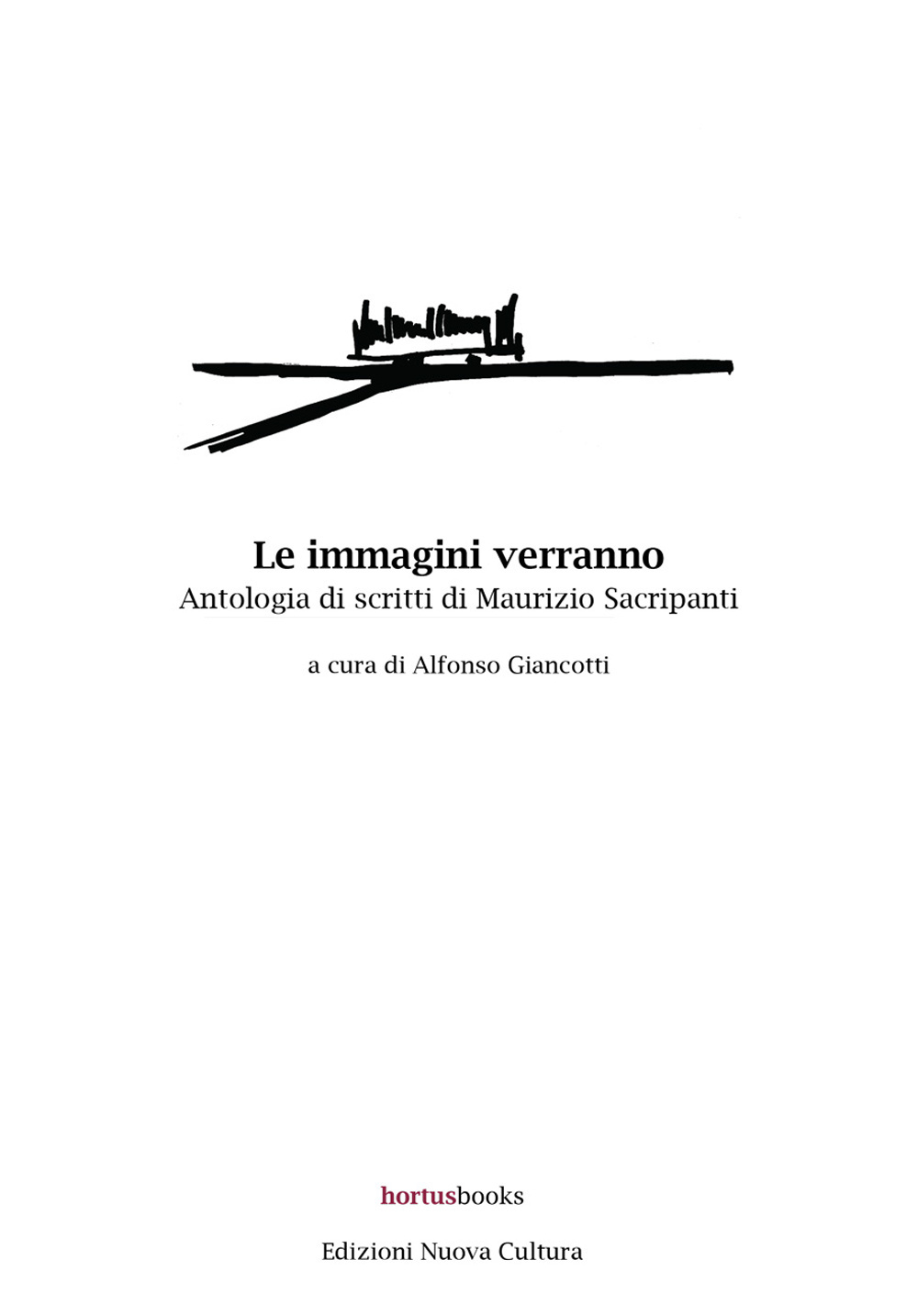 Le immagini verranno. Antologia di scritti di Maurizio Sacripanti