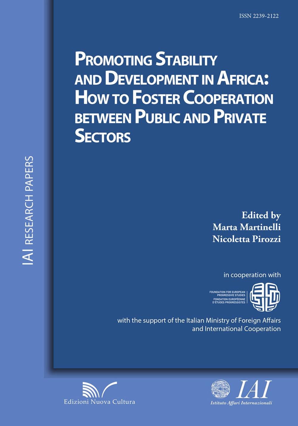 Promoting stability and development in Africa. How to foster cooperation between public and private sectors