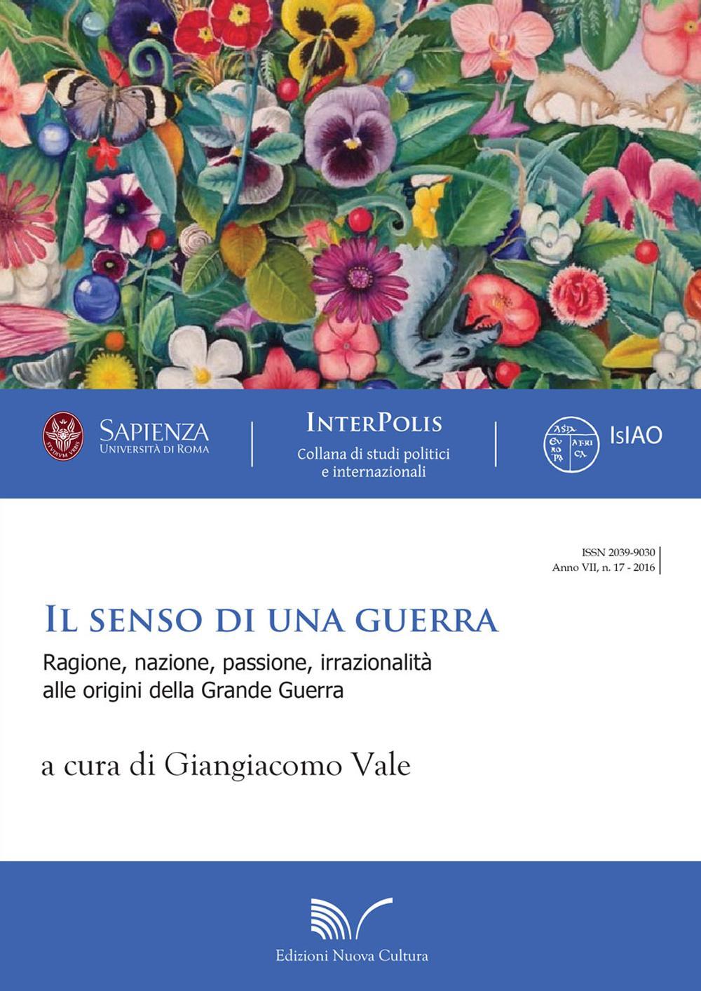 Il senso di una guerra. Ragione, nazione, passione, irrazionalità alle origini della grande guerra