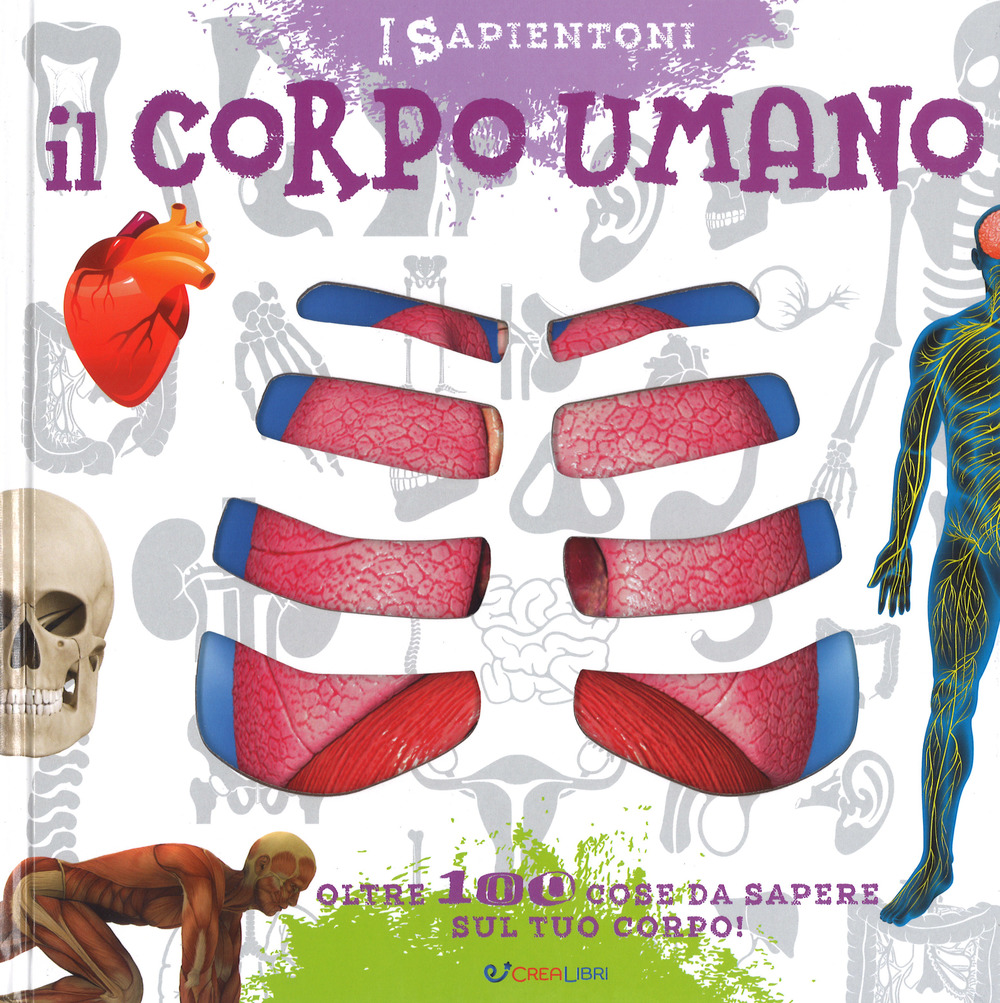 Il corpo umano. Oltre 100 cose da sapere sul tuo corpo. Ediz. a colori