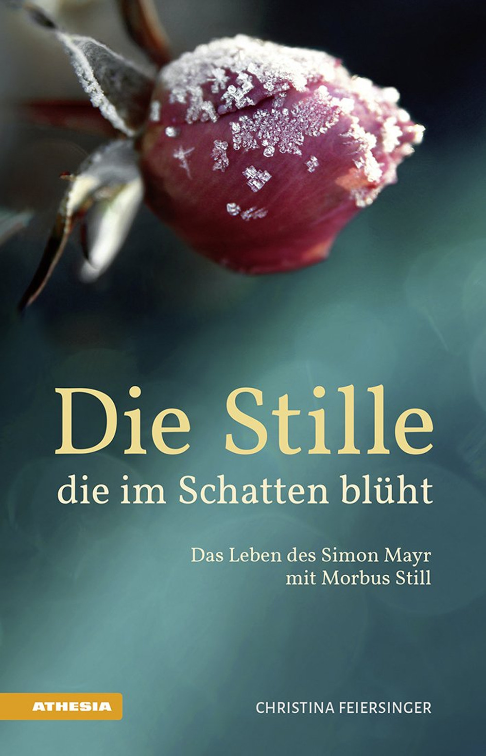 Die Stille, die im Schatten blüht Das Leben des Simon Mayr mit Morbus Still